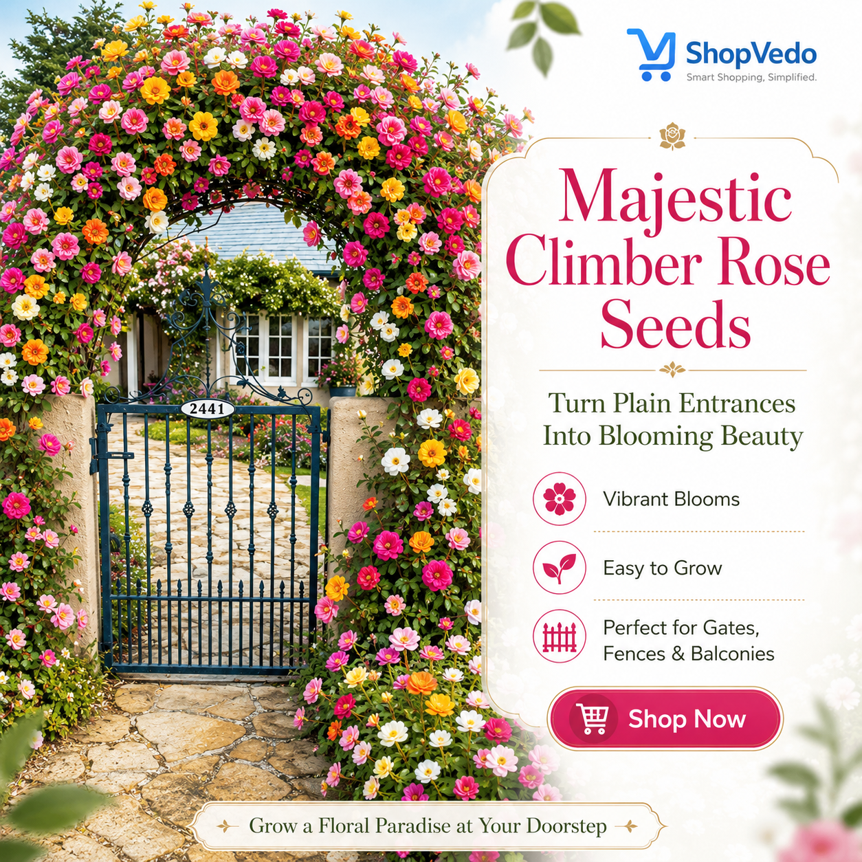 Majestic Climber Rose Seeds