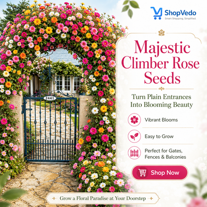 Majestic Climber Rose Seeds
