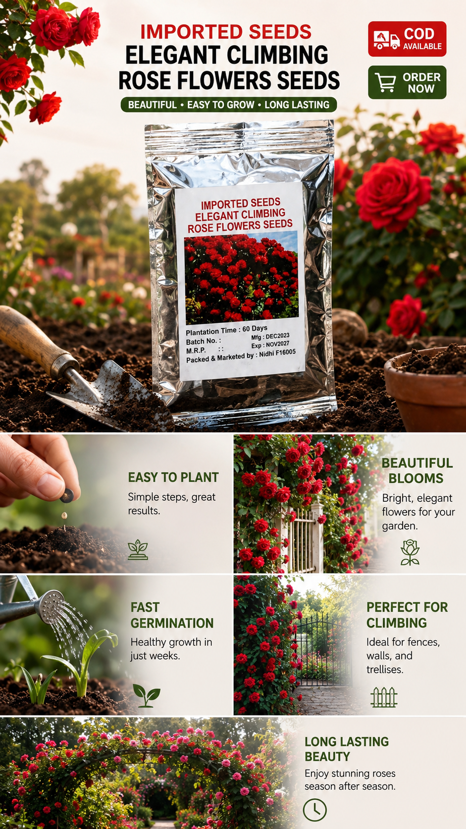 Majestic Climber Rose Seeds