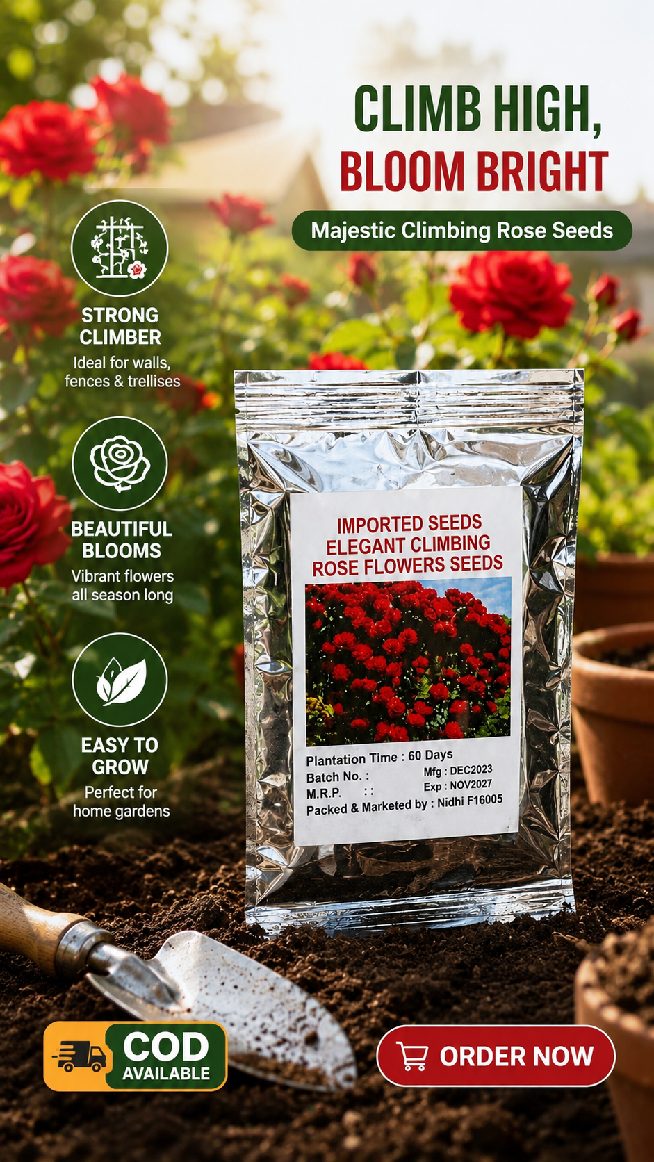 Majestic Climber Rose Seeds