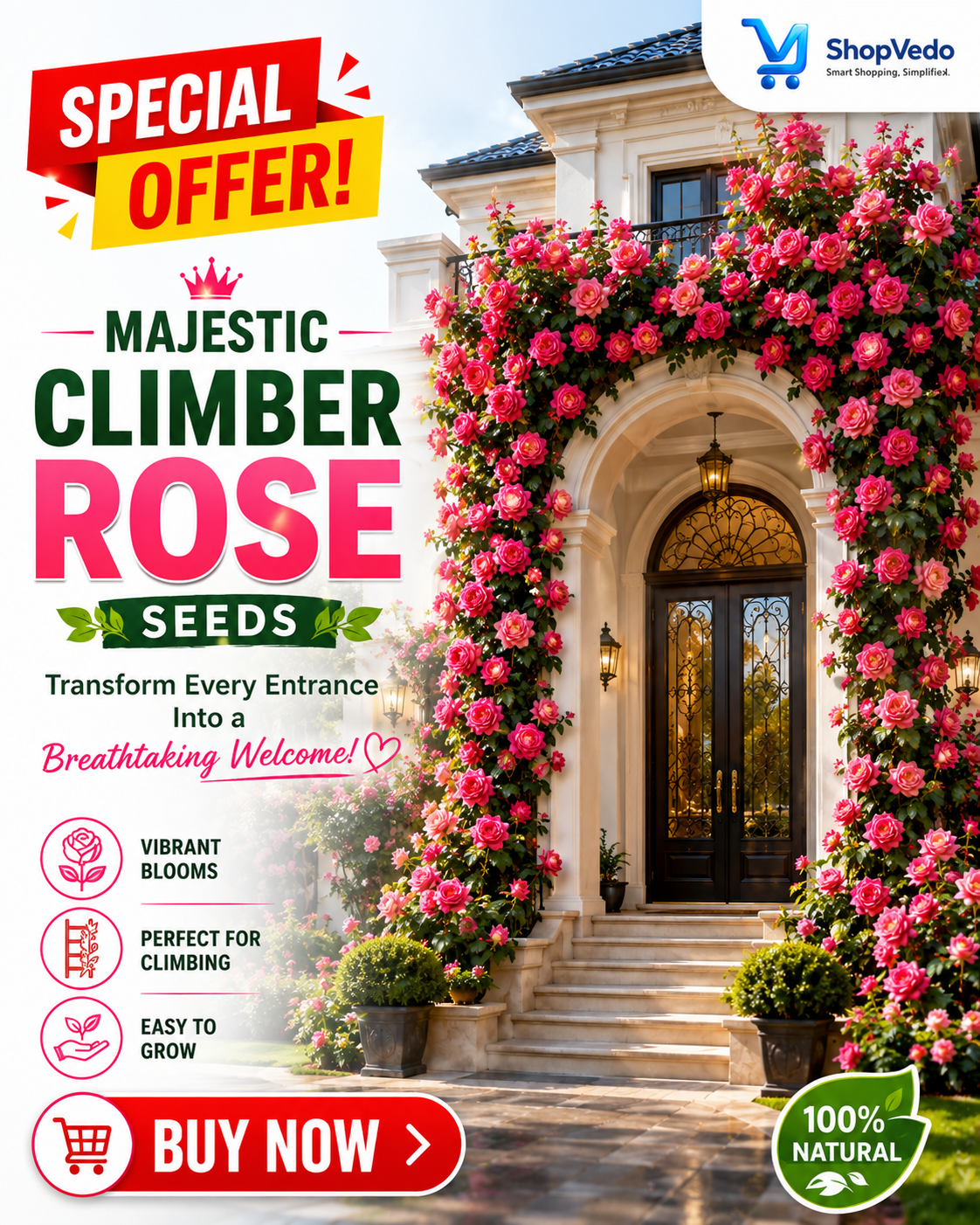 Majestic Climber Rose Seeds